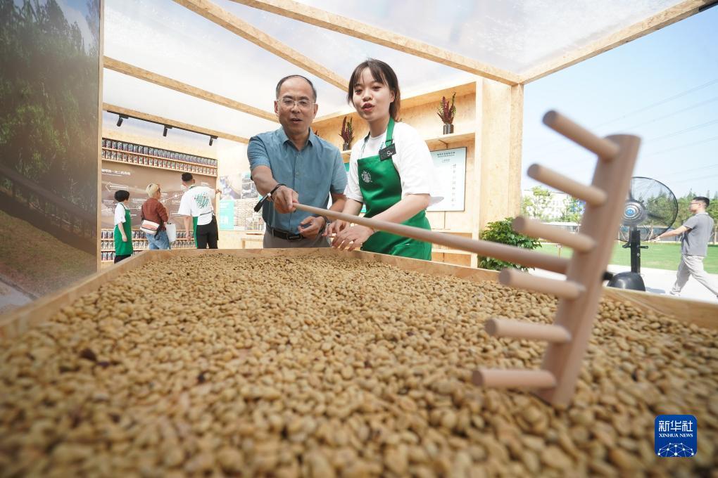 试玩游戏的软件